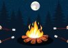 How Campfire BBQ Can Save You & Your Partner’s Life While Camping How Campfire BBQ Can Save You & Your Partner’s Life While Camping