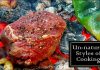 Extreme Grilling: Steak in 6 Unnatural Styles of Cooking Unnatural Styles of Cooking