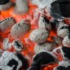 A Beginner’s Guide to Grilling with Ceramic Briquettes