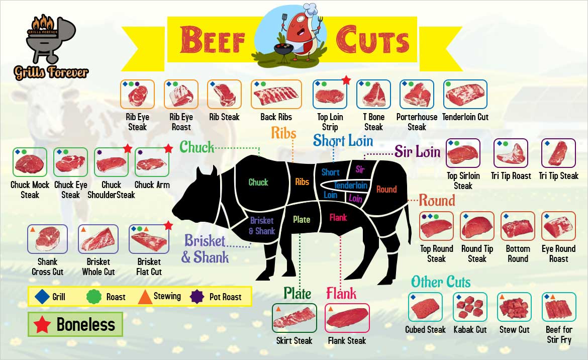 Beef cuts chart; Different types of beef cuts